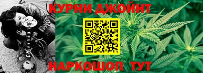 Альфа ПВП Малгобек