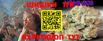 Альфа ПВП Малгобек