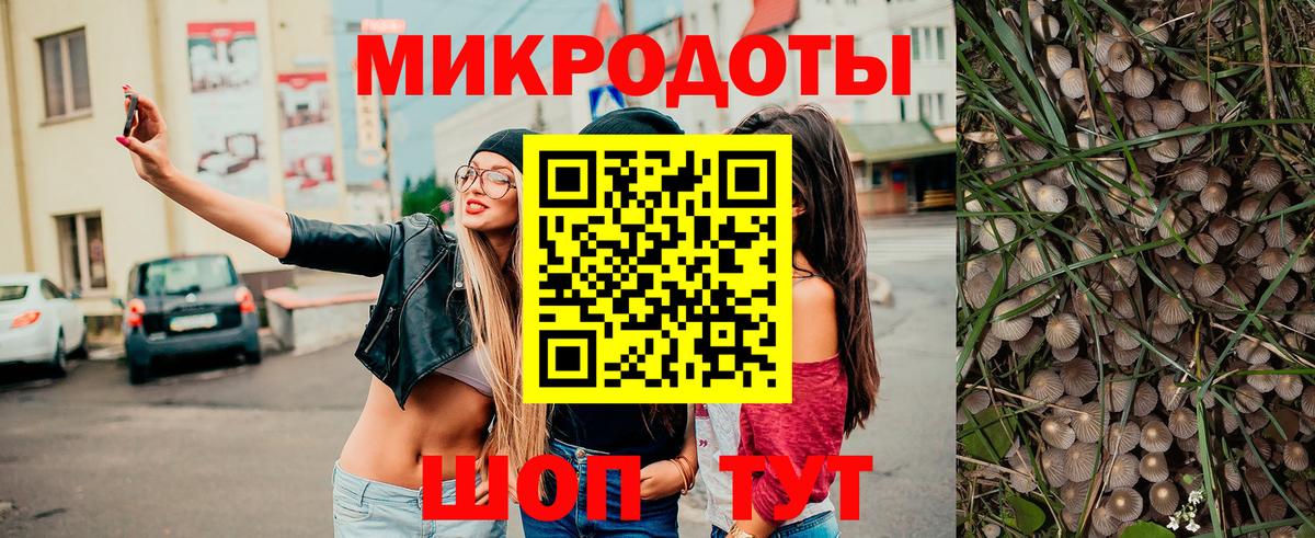 Псилоцибиновые грибы Cubensis  Вход с VPN  Черногорск 